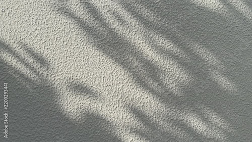 Soft Swaying Leaf Shadows on White Textured Wall with Copy Space