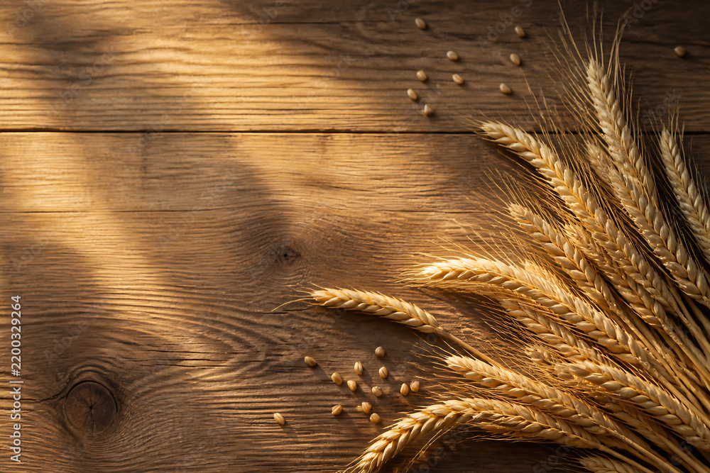 Obraz premium A close-up of golden wheat stalks resting on a rustic wooden surface with sunlight casting shadows.