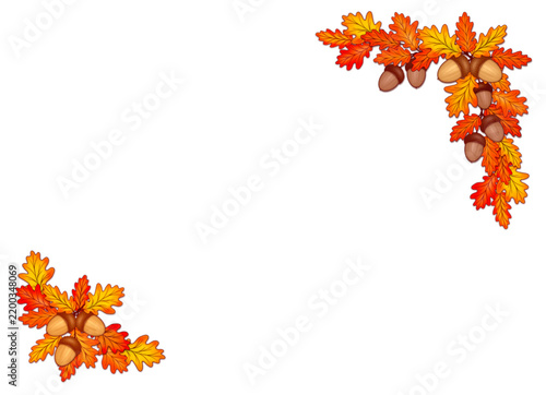 Isolated decorative corner elements for autumn frames. Decorative corner patterns made of autumn oak leaves and acorns on a white background. Vector isolated frame.