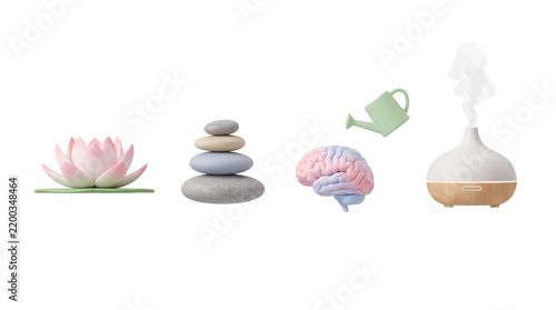 Serenity elements including lotus, stones, brain, and diffuser  