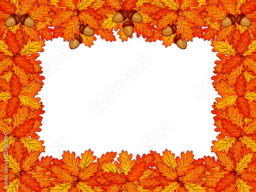 Isolated decorative autumn frame. Decorative frame made of bright autumn oak leaves and acorns on a white background. Isolated vector frame.