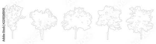 Architectural tree elevation collection with diverse broadleaf canopy side view outlines and clean line graphics for landscape CAD diagrams and urban rendering.