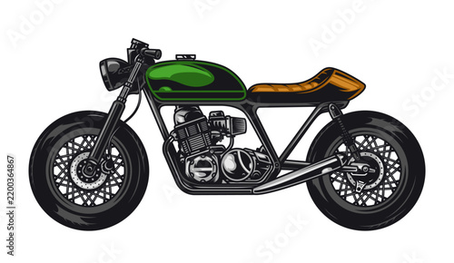 vector illustration