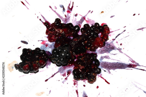 Squashed exploding and crushed blackberries fruit berries splattered on a white background with juice