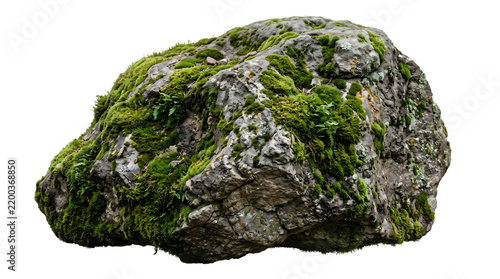 Large moss covered rock isolated on white background with green moss and ferns