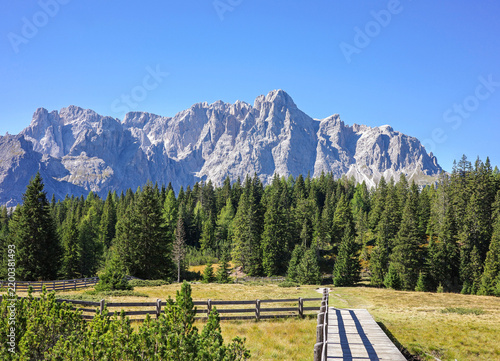 Blick auf die Rotwand vom Biotop Nemes