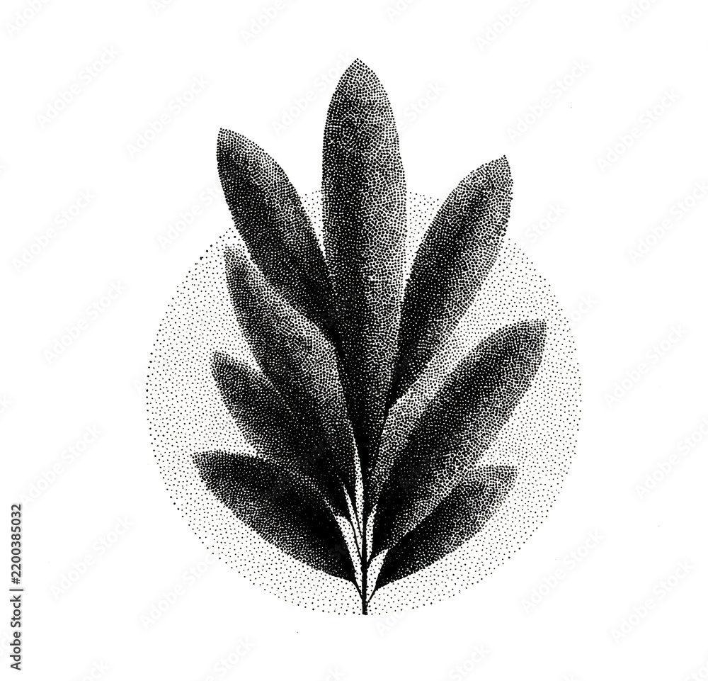 Obraz premium PNG Minimalist botanical leaf illustration in monochrome halftone style