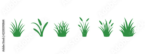 A collection of cartoon green grass leaf silhouettes presented as a vector illustration, set against a clean white backdrop