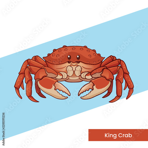 Detailed red king crab vector art on a clean background, perfect for seafood restaurant menus, fish market branding, educational graphics, stickers, ocean prints, and web design assets.