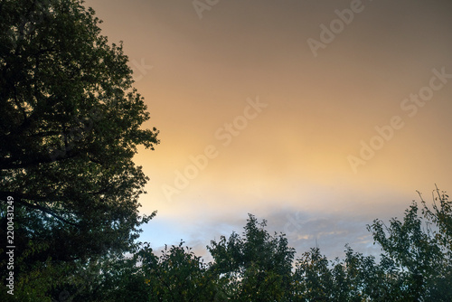 Photography sunset in the forest, nacka,sweden,sverige,summer,stockholm