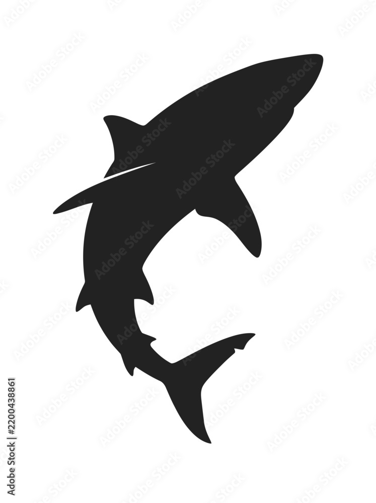 Obraz premium Shark Vector Illustration Isolated on White Background, Wild Marine Predator Fish for Ocean, Underwater, Wildlife and Nature Design