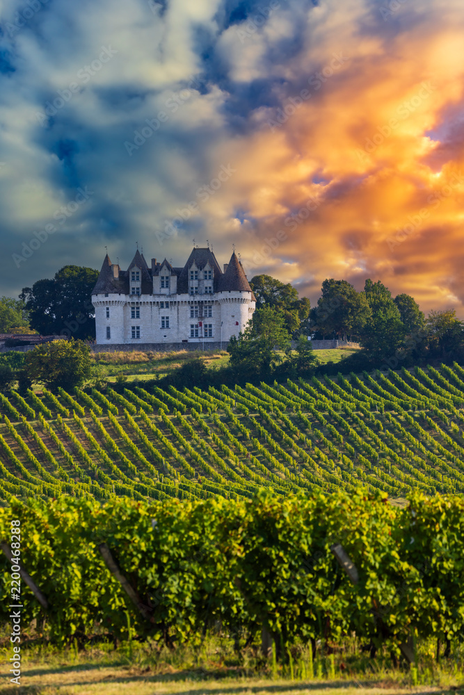 Obraz premium Chateau Monbazillac ( Monbazillac castle) with vineyards, Aquitaine, France