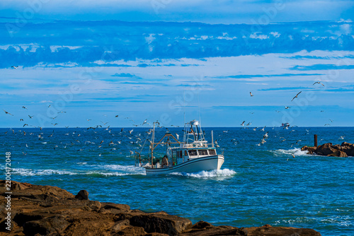 Fishing Boat and Seagulls