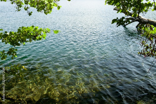 Clear turquoise lake water background framed by green summer leaves on tree branches