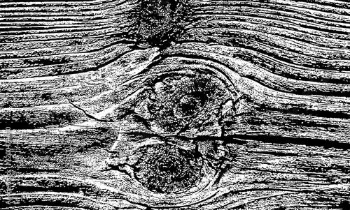 fotografía con fondo trasparente de un tronco de madera donde se aprecian las fibras y nudos de la  madera