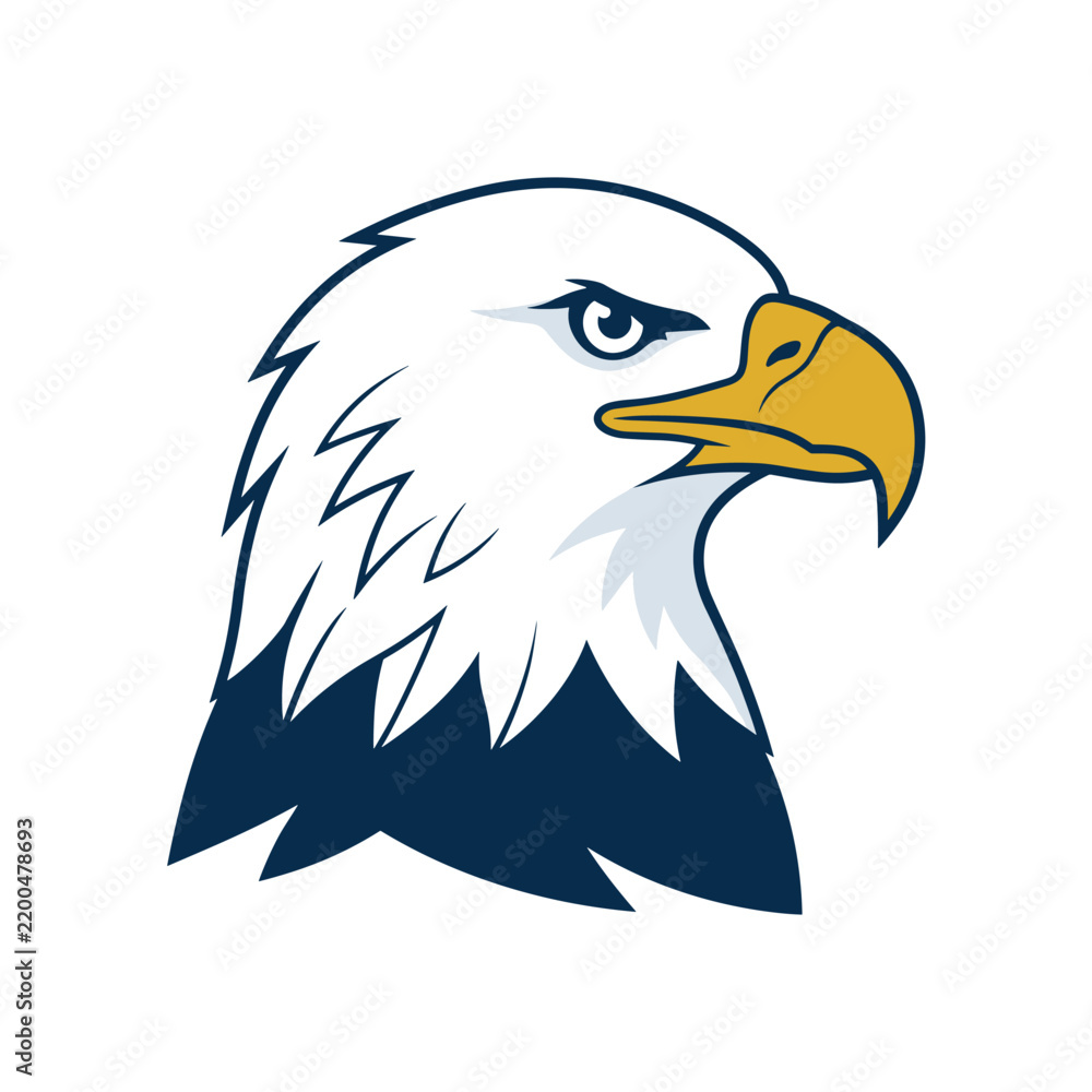 Fototapeta premium Bald eagle head profile vector illustration with sharp golden beak and fierce eyes facing right on white background