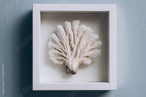 piece of coral stone inside the frame