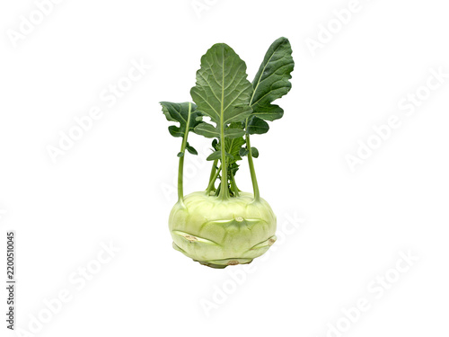 Fotografie Fresh green kohlrabi vegetable with attached leafy stems isolated transparent ba