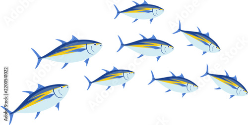 School of Tuna Fish Illustration Showing Swimming Marine Fish for Ocean Wildlife, Seafood, Fishing, Aquatic Nature, and Underwater Design. Vector Isolated.