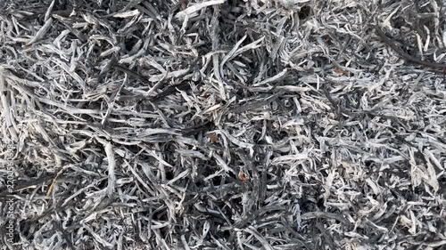 Top Down Texture of Scattered Straw Ash for Soil Science Concept