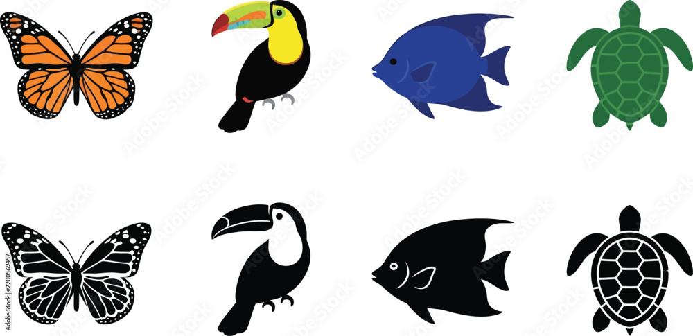 Obraz premium Wildlife animals in color and black and white butterfly, toucan, fish, and sea turtle.