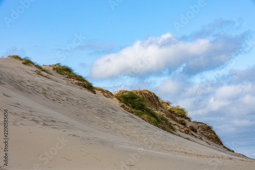 View of Rabjerg Mile sand dunes with patches of marram grass under a blue sky with soft clouds in Skagen, Jutland, Denmark.