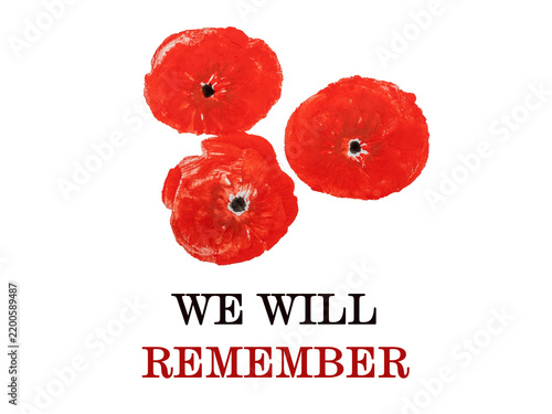 Cuadro en lienzo Remembrance Day greeting card with text We Will Remember and red watercolor poppy flowers border