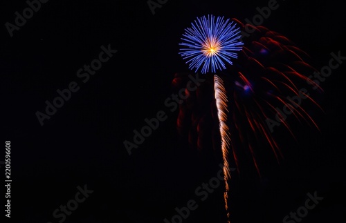 View of a vibrant blue firework burst illuminating the night sky in Paradise, Pennsylvania, United States.