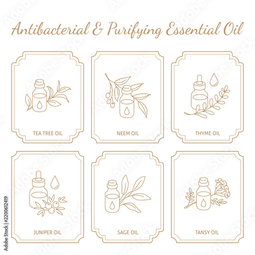 Antibacterial and Purifying Essential Oils Collection - Tea Tree, Neem, Thyme, Juniper, Sage, Tansy