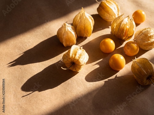 Physalis berries in their papery husks on kraft paper in hard sunlight