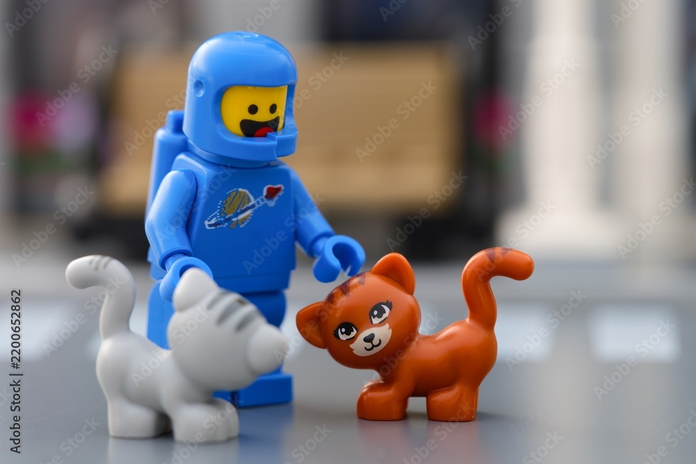 Fototapeta premium Tambov, Russian Federation - September 19, 2026 A close-up shot of a blue Lego spaceman minifigure interacting with gray and ginger cats outdoors