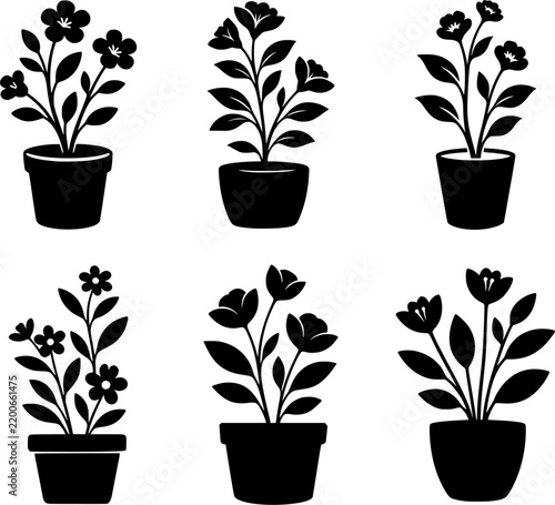 Six black and white potted plants with flowers