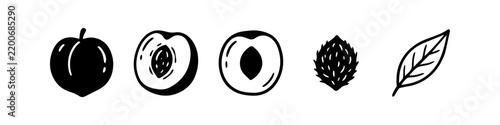 Black and white hand-drawn peach icons set. Doodle vector illustration of whole peach fruit, sliced halves, textured seed pit, and green leaf isolated on a white background.