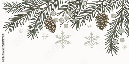 Christmas Pine Branches with Cones and Snowflakes Border Background