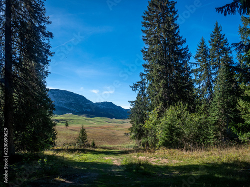 Plateau des Glières, alpage et chapelle, Haute-Savoie, France