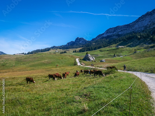 Plateau des Glières, alpage et chapelle, Haute-Savoie, France