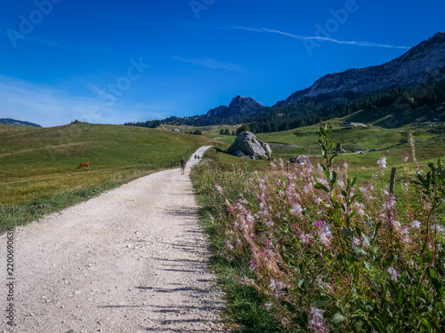 Plateau des Glières, alpage et chapelle, Haute-Savoie, France