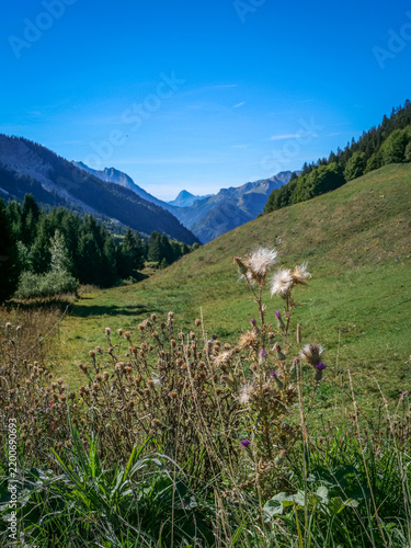Plateau des Glières, alpage et chapelle, Haute-Savoie, France