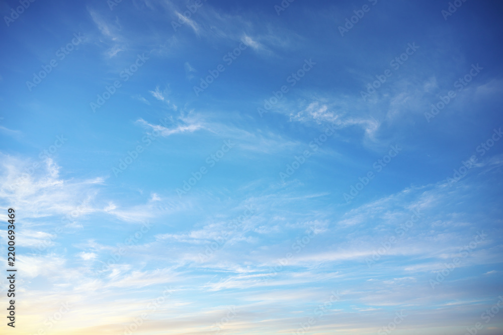 Fototapeta premium Light white cirrus clouds scatter across bright blue sky with soft yellow gradient near horizon. Clear atmospheric texture background