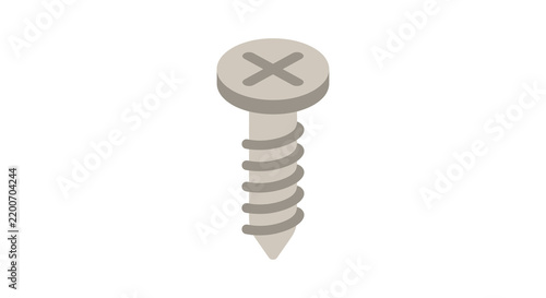 Fotografie Isometric screw with a cross head a flat vector illustration on a white backgrou