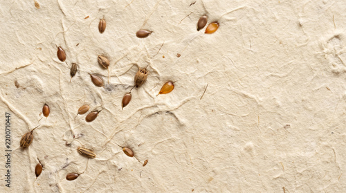 Handmade Paper with Pressed Autumn Seeds | Rustic Background