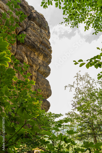 Rock formation partially hidden behind lush green foliage in Saxon Switzerland National Park, Germany, scenic natural landscape and wilderness background.