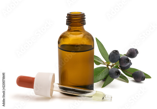 Myrtle sprig with berries with dropper bottle and pipette isolated on white
