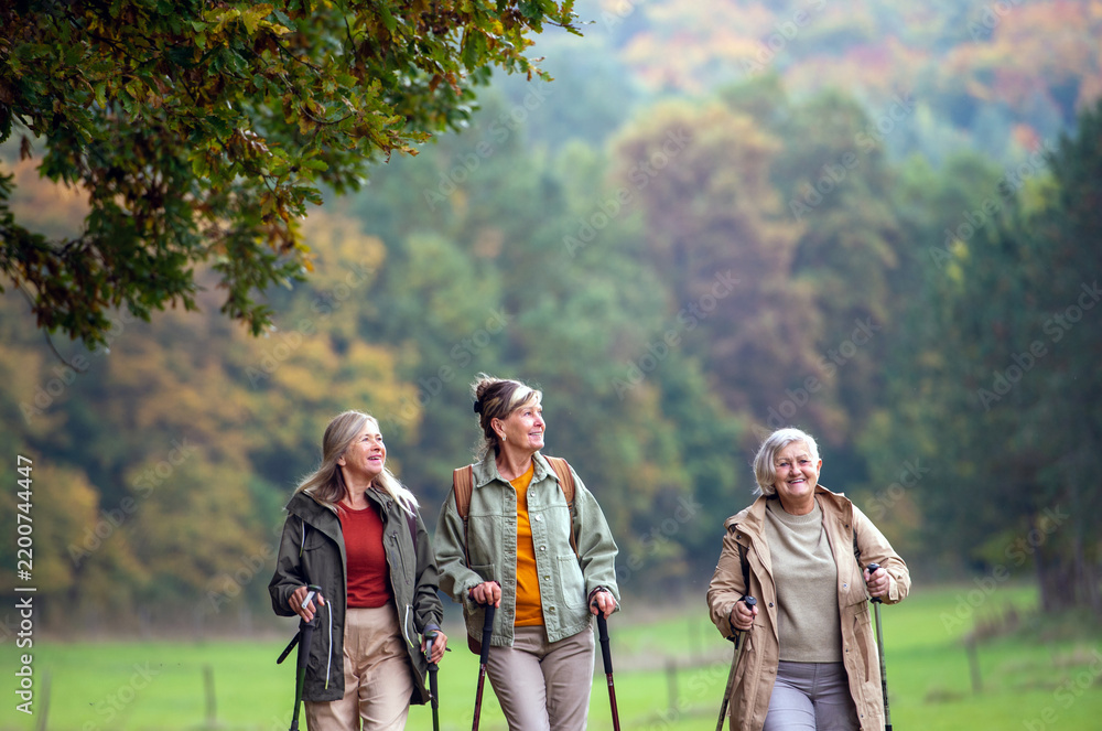 Obraz premium Old female friends enjoying countryside walk with walking poles.