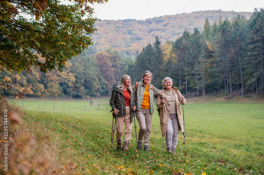 Obraz premium Old female friends enjoying countryside walk with walking poles.