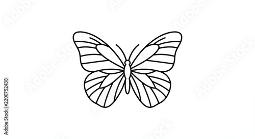 Butterfly Line Art Illustration: Simple Monochrome Vector Design of Delicate Flying Creature with Symbolic Beauty in Nature