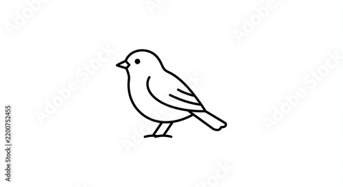 Simple Line Art Bird Illustration: Minimalist Vector Graphic of Perched Bird for Nature and Ornithology Enthusiasts