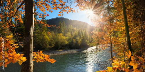 The sun shining through the orange foliage of deciduous trees at a blue river. A panoramic picturesque and vibrant autumn scenery.