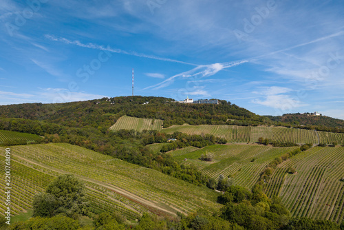 Kahlenberg and Leopoldsberg Vineyards Vienna Austria