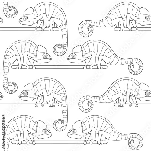 Seamless pattern with black and white illustration of chameleon sitting on stick. Vector background.